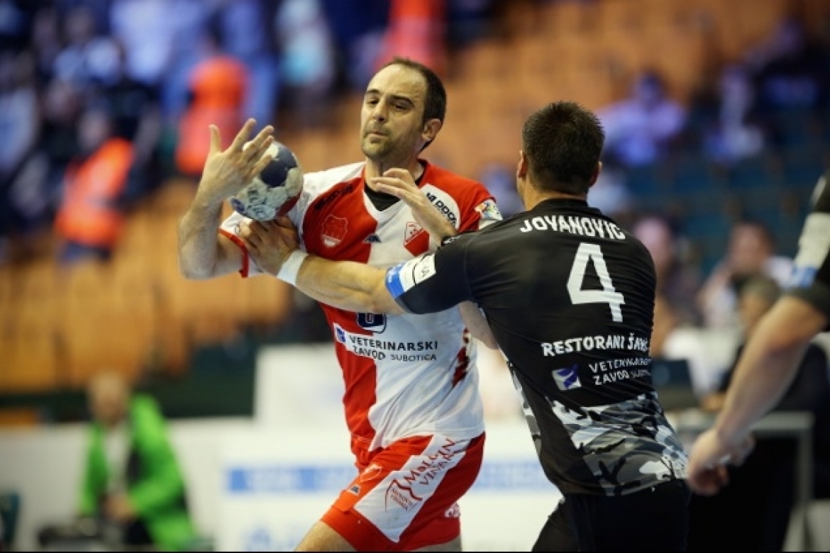vojvodina partizan vojvodina partizan