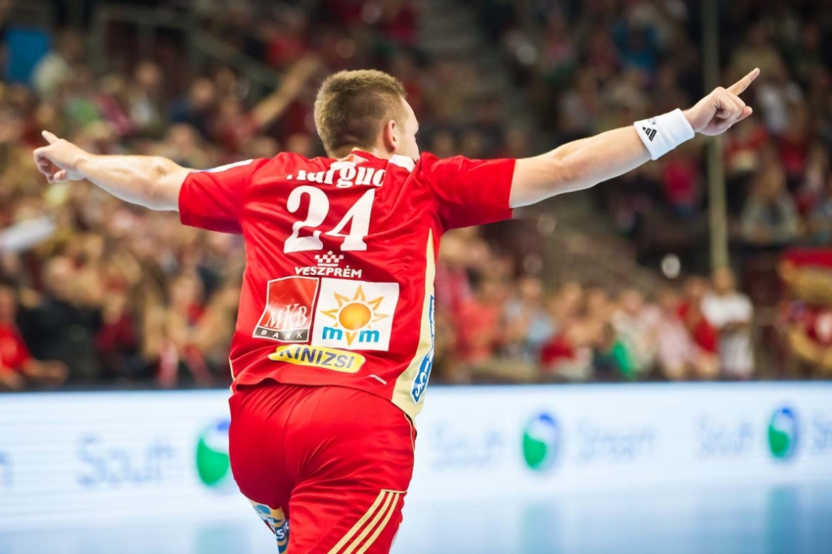 MKB-MVM Veszprem - Meskov Brest 17(14/15) MKB-MVM Veszprem - Meskov Brest 17(14/15)