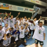 MKB MVM Veszprem, Tatran and PPD Zagreb national champions